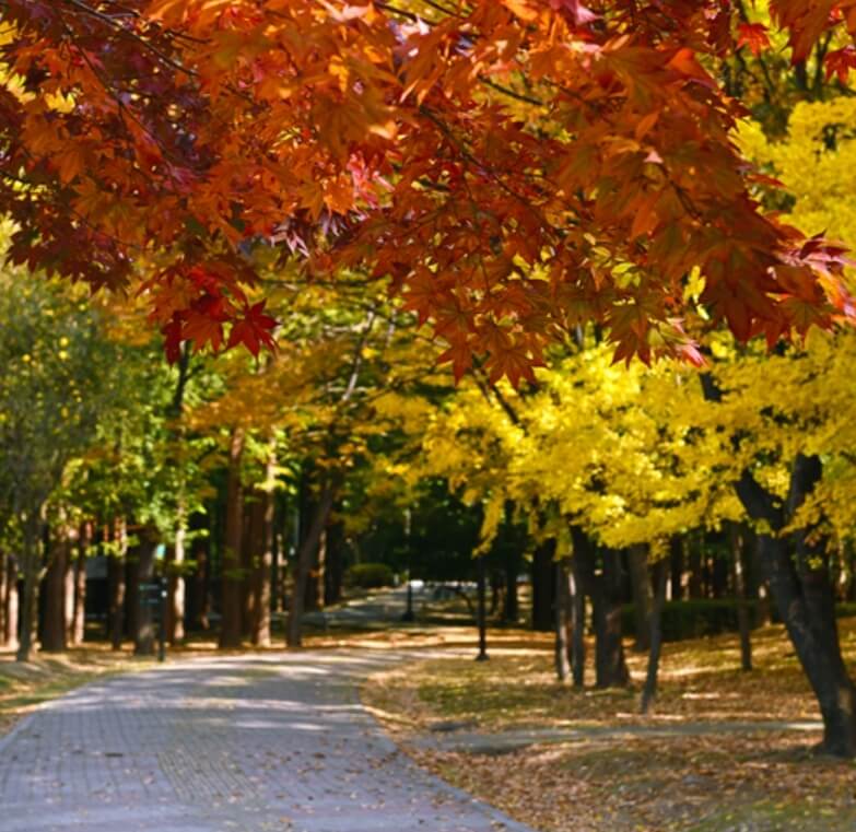 가을 단풍 명소 여행 추천