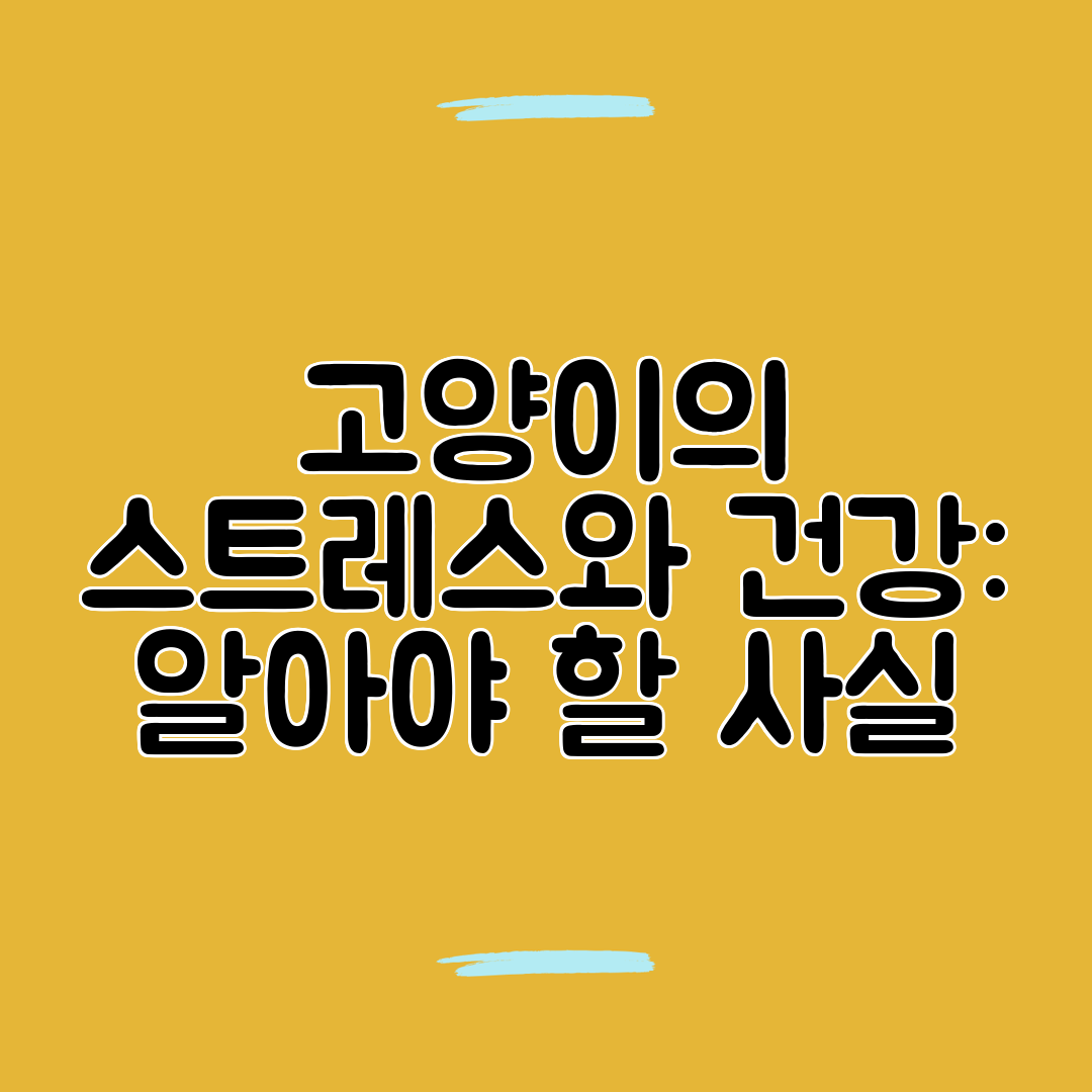고양이의 스트레스와 건강 알아야 할 사실