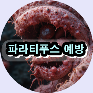 장티푸스 예방접종,

살모넬라 감염 증상,

수인성 감염병 원인,

해외여행 감염병 예방,

식중독 원인 및 치료,

열성 질환 증상,

고열 원인과 대처법,

장염과 패혈증 구분,

항생제 치료법 안내,

여행자 건강관리 체크리스트,