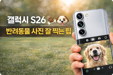 갤럭시 S26을 활용한 반려동물 사진 촬영 팁과 설정 방법을 설명하는 대표 이미지