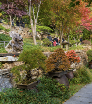 2025 화담숲 단풍축제 예약 완벽 가이드 | 절정시기·꿀팁 총정리