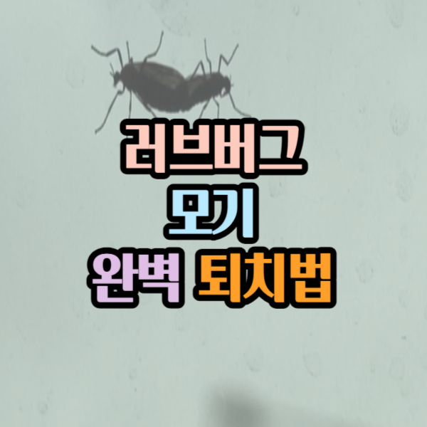 러브버그 퇴치법