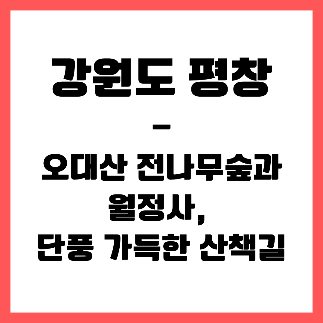 강원도 여행 - 평창(오대산 전나무 숲, 월정사)