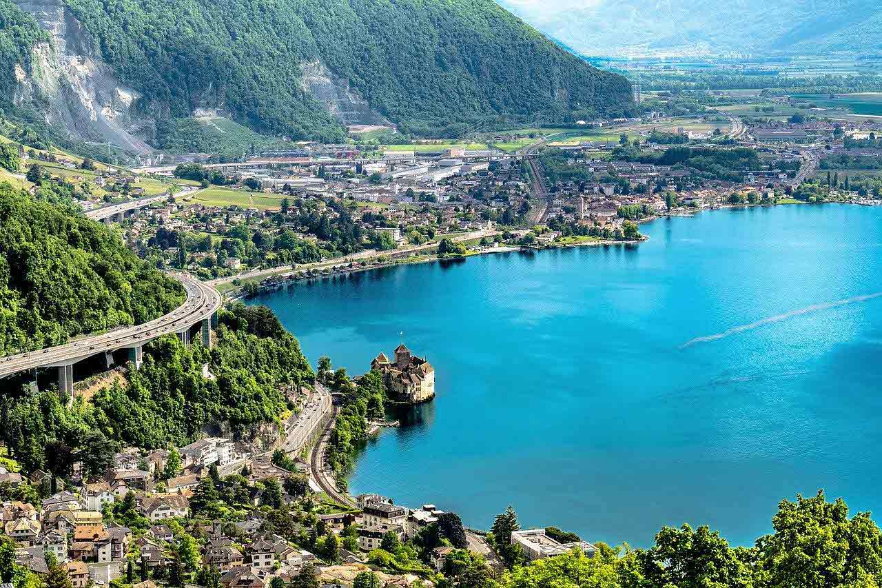 폭풍은 나무가 더 깊게 뿌리내리게 만든다