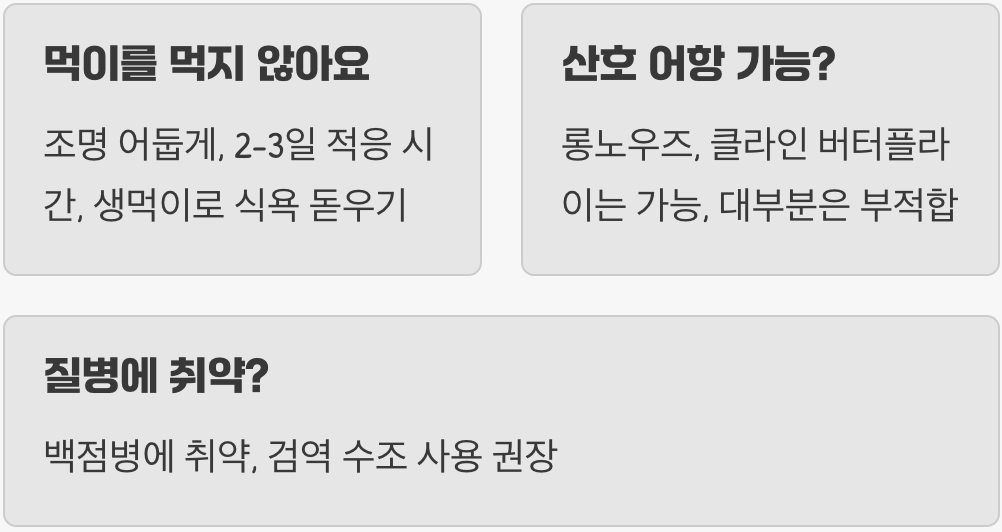 나비고기 키우기 완벽 가이드 (어항&amp;#44; 먹이&amp;#44; 수명 총정리)