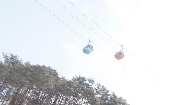 발왕산 케이블카 요금 예약 운행시간