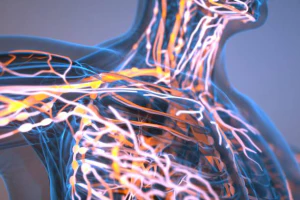 면역력 높이는 방법11