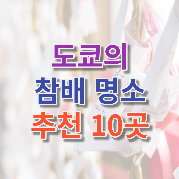 도쿄에서의 첫 참배지 추천 리스트!