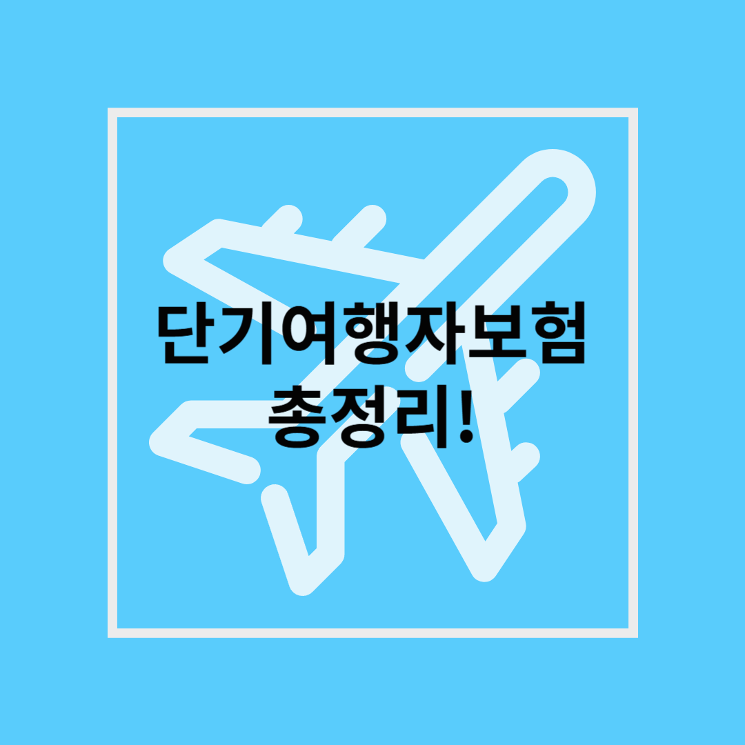 3분 가입 끝! 단기여행자보험으로 의료비 &middot; 수하물 걱정 해결