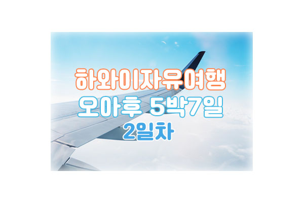 하와이2일차대표이미지
