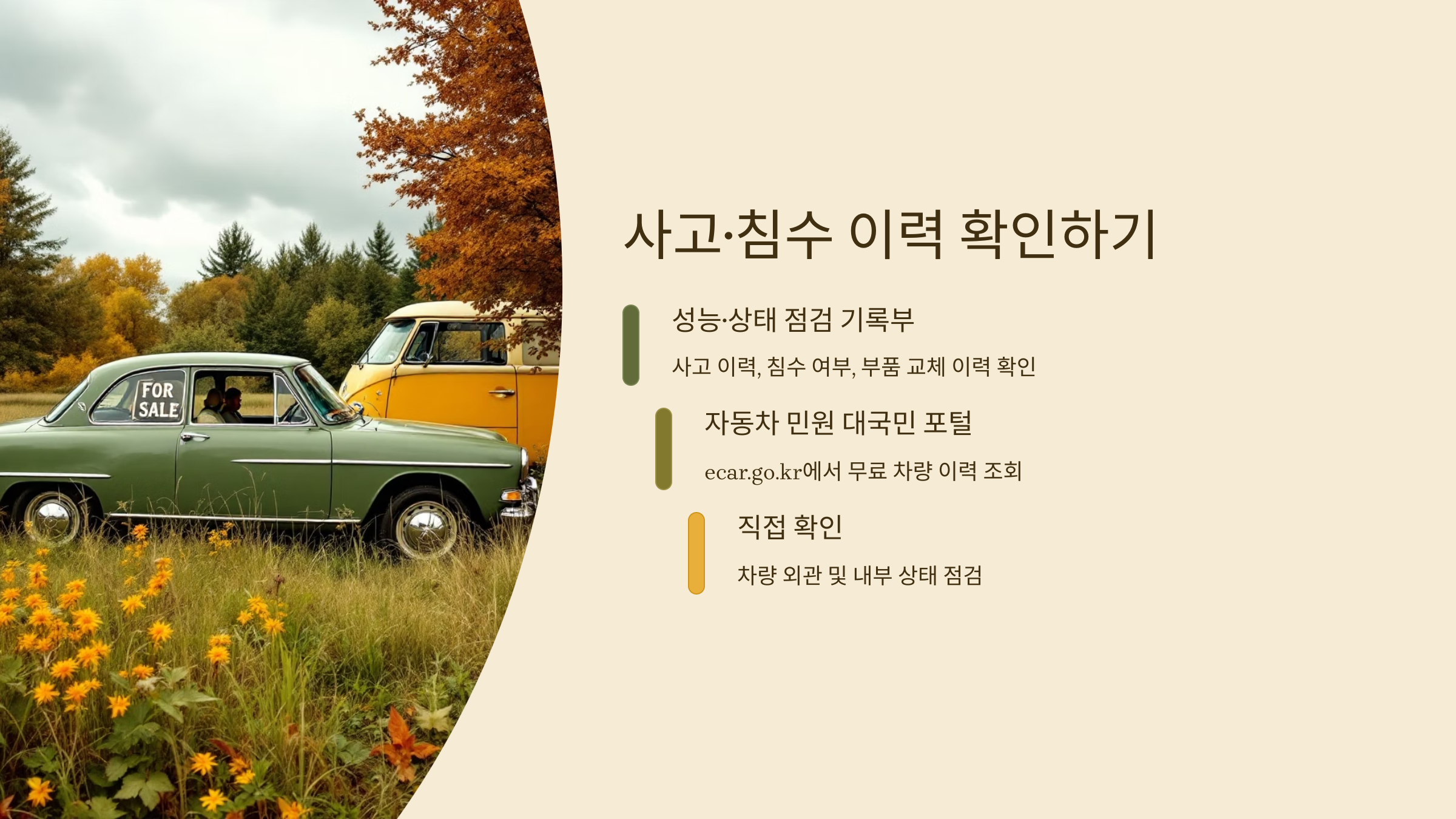 2025년 중고차 잘 사는 법: 초보도 후회 없는 사는 법!