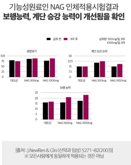 nag 실험
