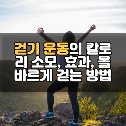 걷기 운동의 칼로리 소모, 효과, 올바르게 걷는 방법