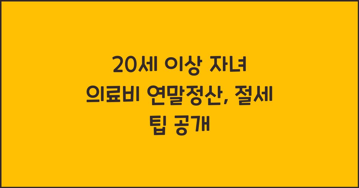 20세 이상 자녀 의료비 연말정산
