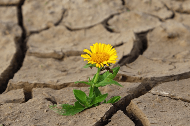 기초생활수급자 자격요건