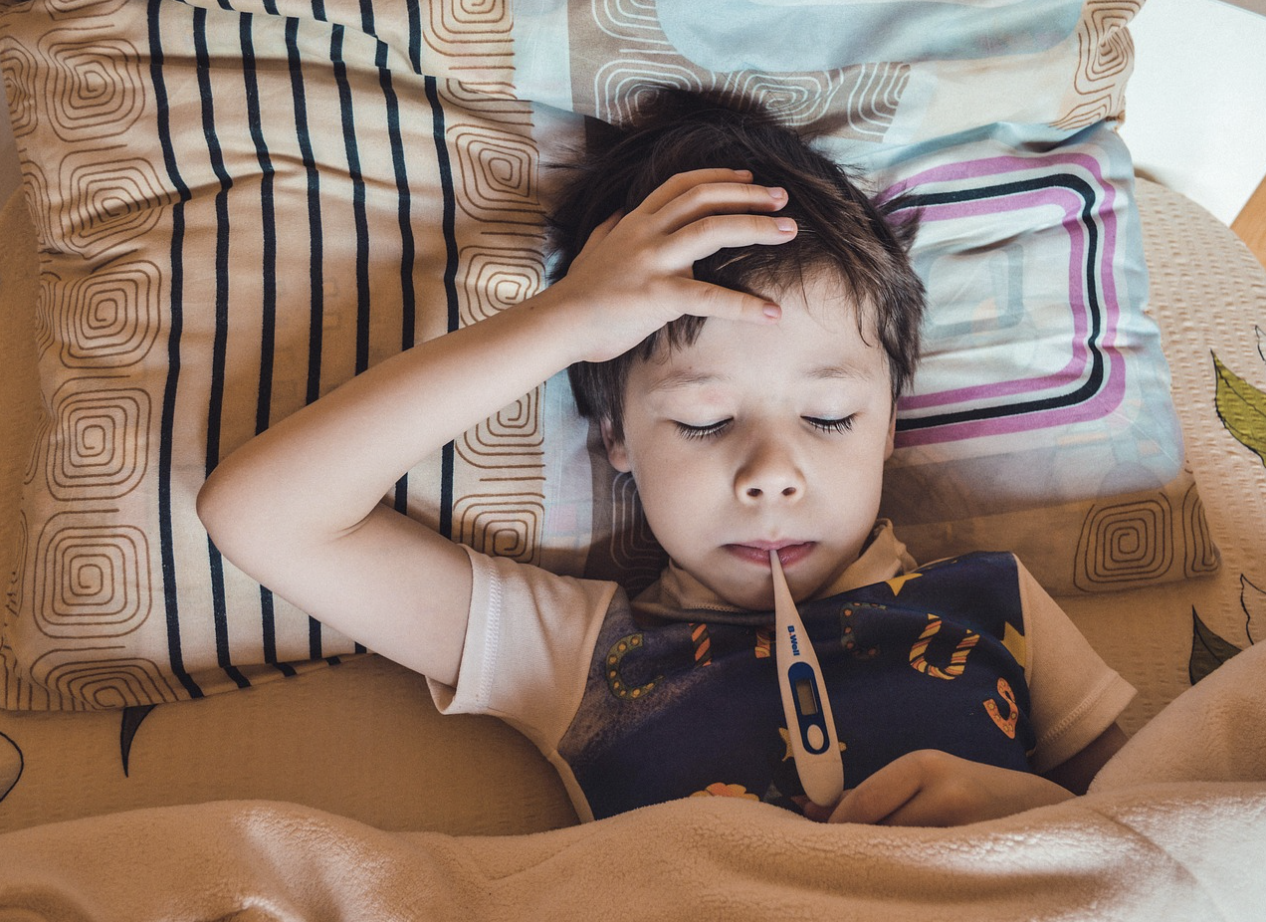 마이코 플라즈마 폐렴 원인