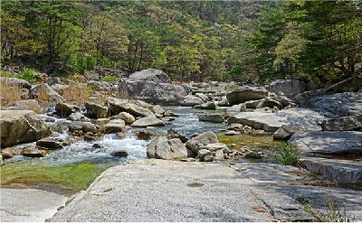 충청북도 단양팔경 여행-가는방법,기차.버스 시간표-9