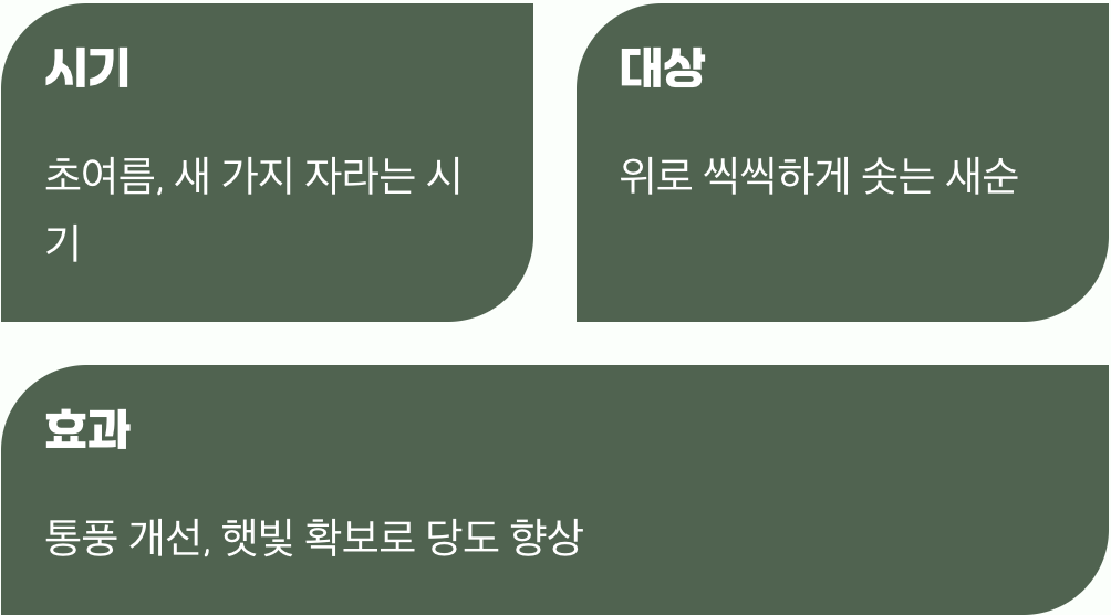 가벼운 여름 전정&amp;#44; 숨통을 틔워주세요