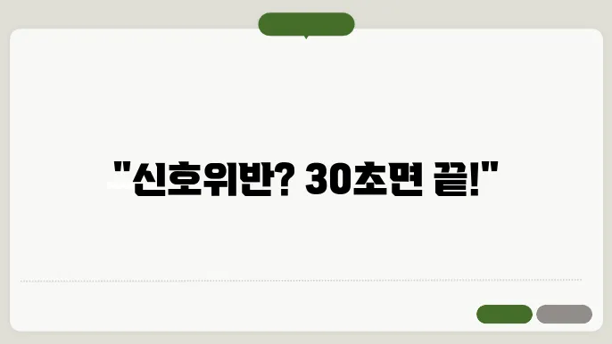신호위반 실시간 조회 30초면 확인 가능