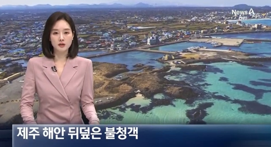 제주 해안 뒤덮은 불청객 ‘괭생이모자반'