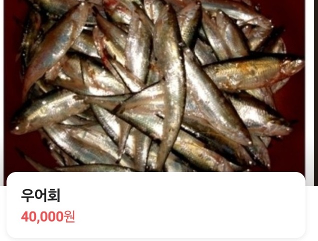 우어회
