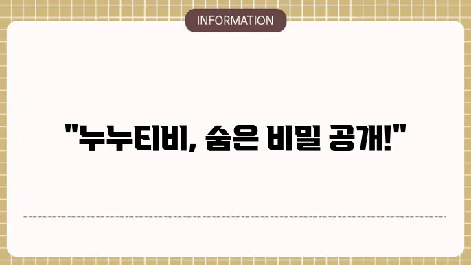 누누티비, 누누tv, 주소, noonoo.tv, 대체 사이트