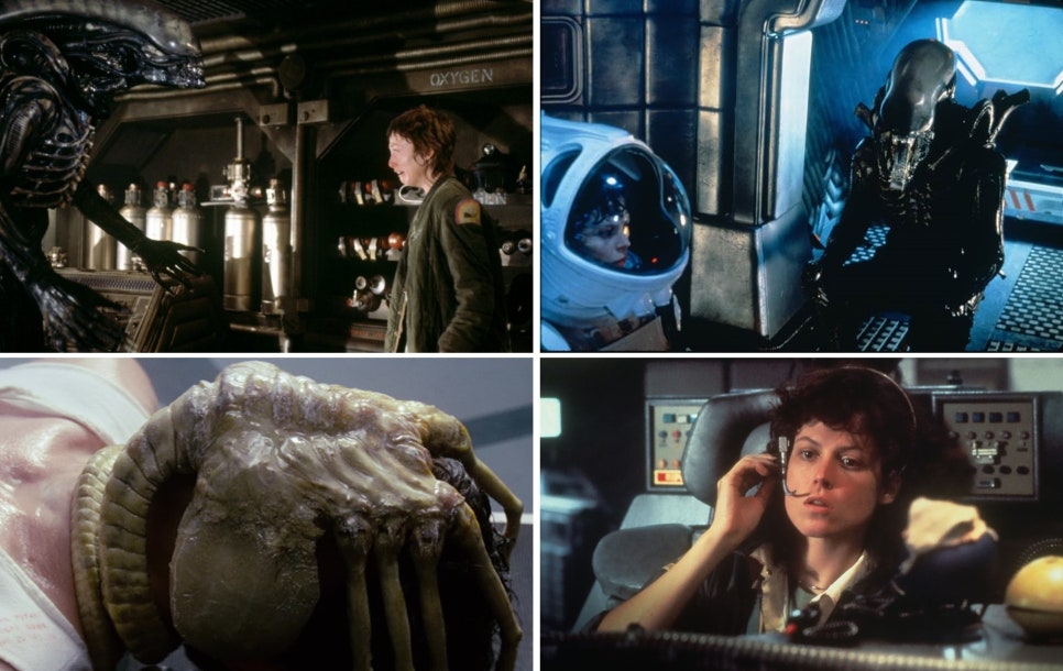 OTT 공포영화 추천 : 넷플릭스, 디즈니플러스, 쿠팡플레이에서 볼 수 있는 공포영화 총정리