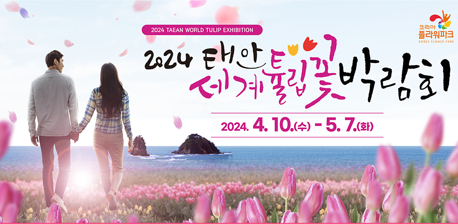 태안 튤립축제