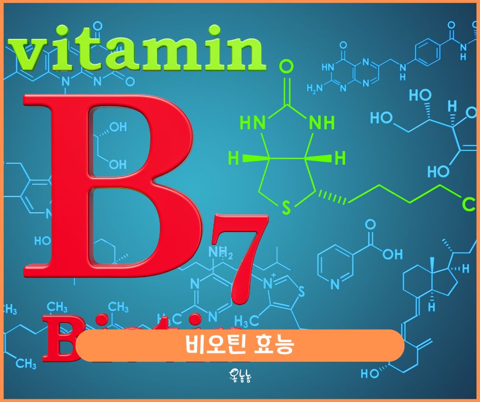 비오틴 효능