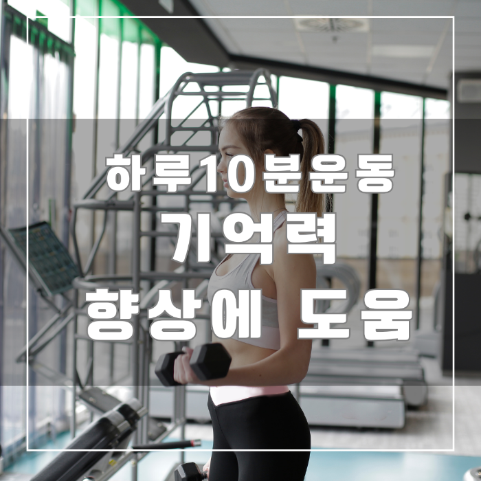기억력 향상
