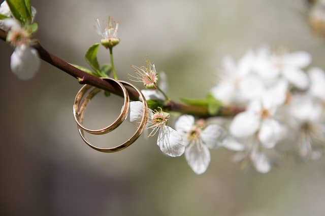 결혼식 없이 결혼하는 &lsquo;노웨딩(No-Wedding)&rsquo; 문화 확산 &ndash; 왜 점점 증가할까?