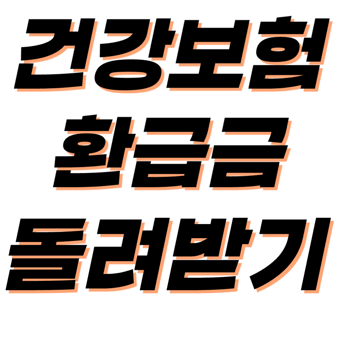 국민건강보험 환급금 (조회 신청 지급일)