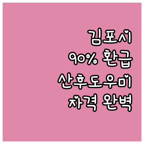 2025 김포시 산모신생아 건강관리 ..