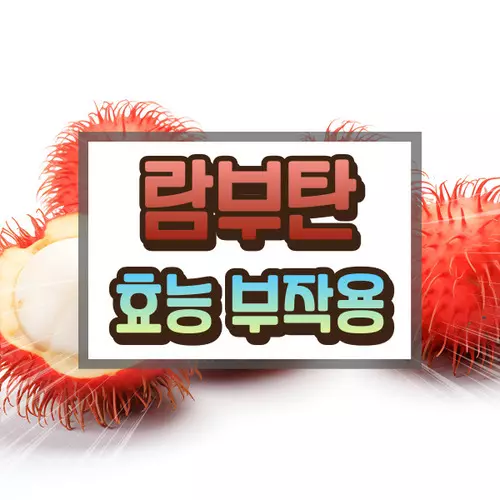 람부탄 효능 부작용