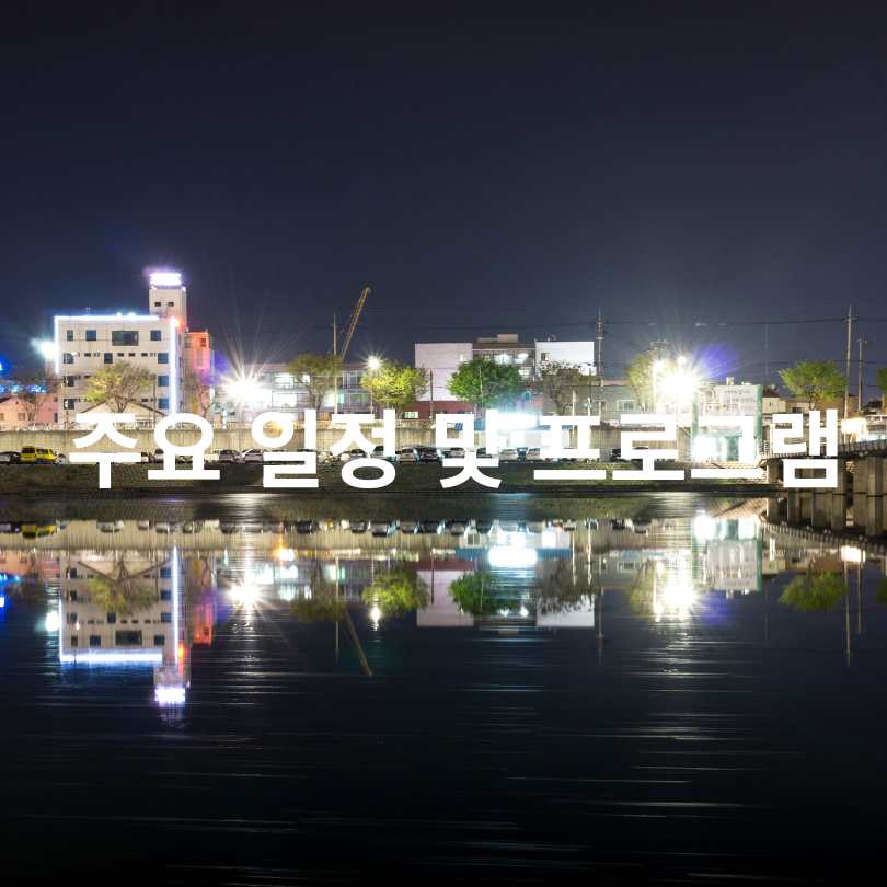 2025 경포썸머 페스티벌