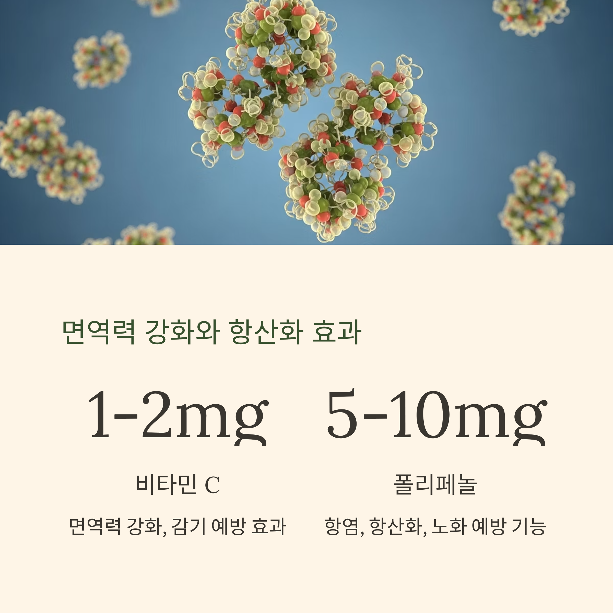 면역력 강화와 항산화 효과