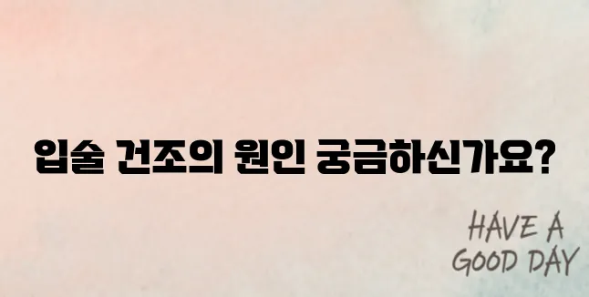 입술이 부르트는 이유