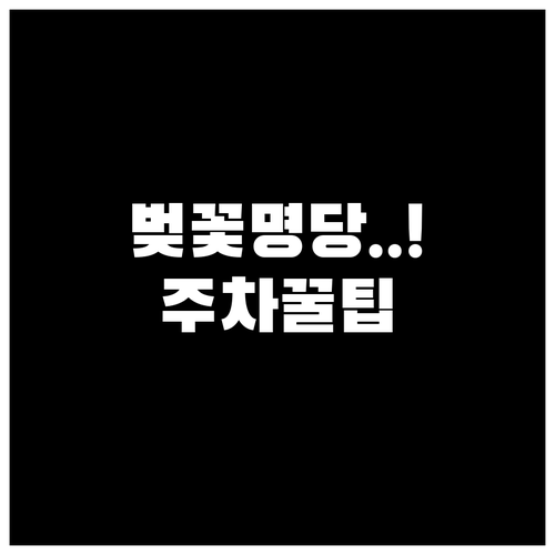 2026년 석촌호수 벚꽃 개화 정보 ..