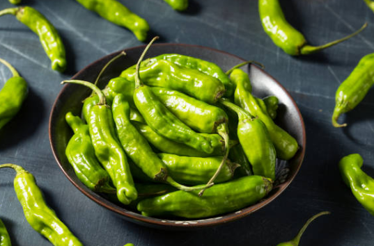 편스토랑-레시피