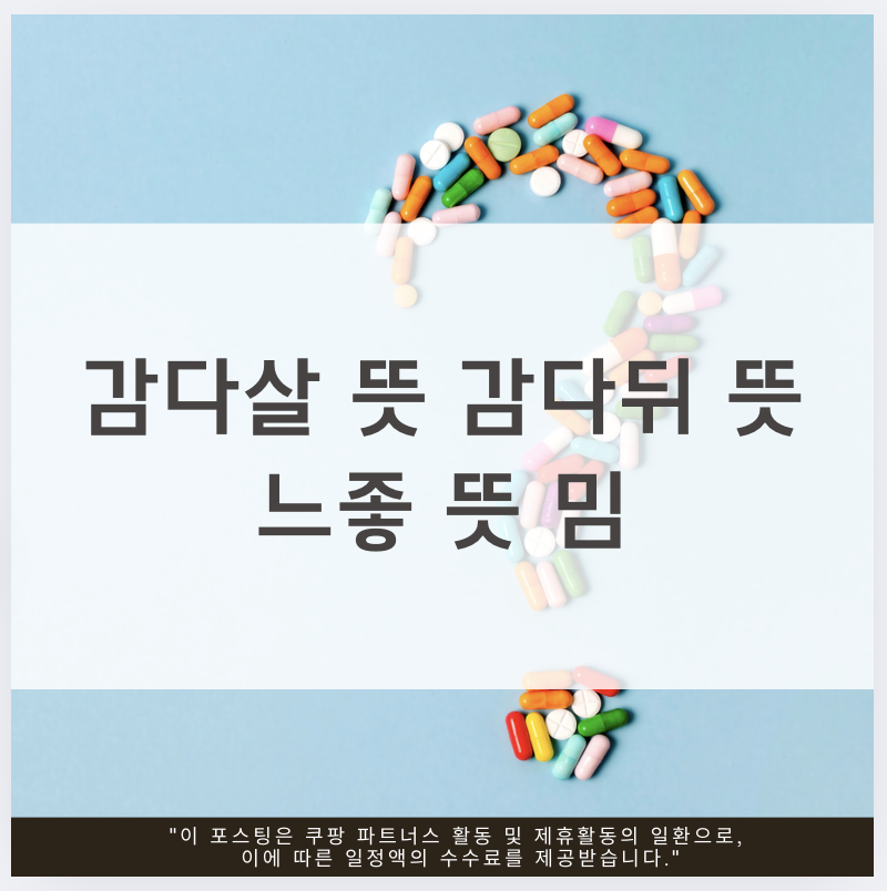 느좋 뜻 밈