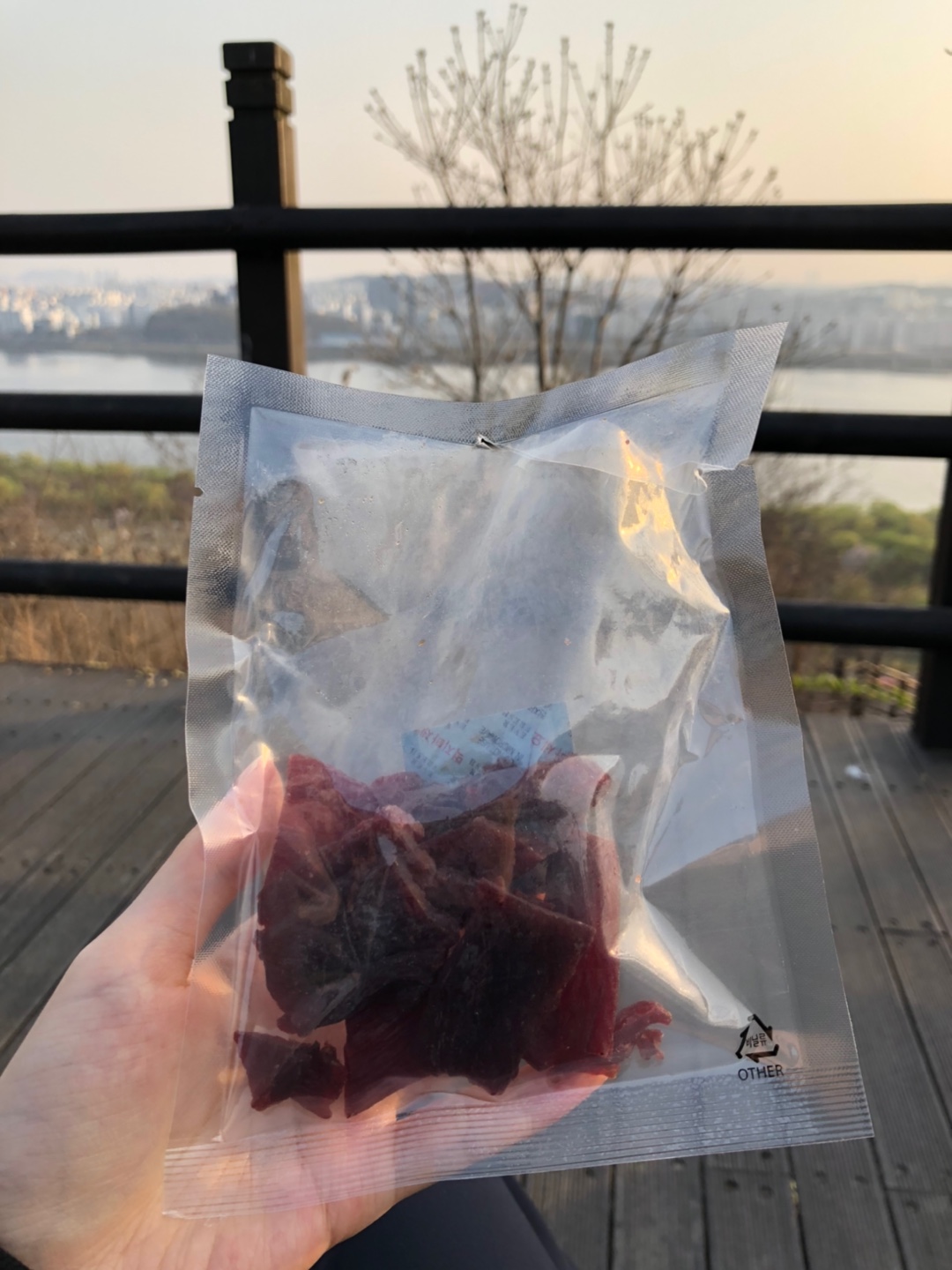 노을공원에서-먹는-육포