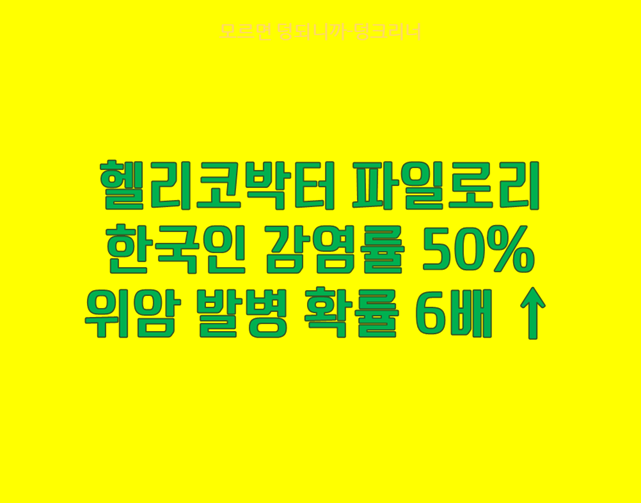헬리코박터 감염