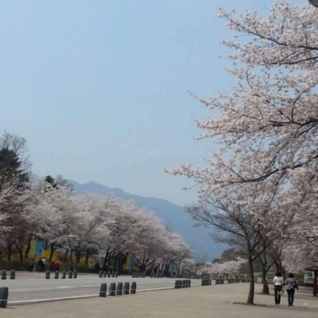 https://grandpark.seoul.go.kr