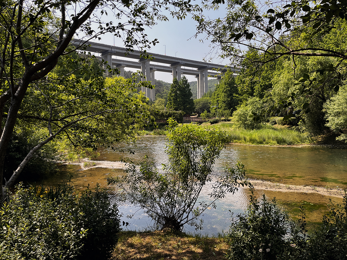 출렁다리를 지나 광장 방향으로.