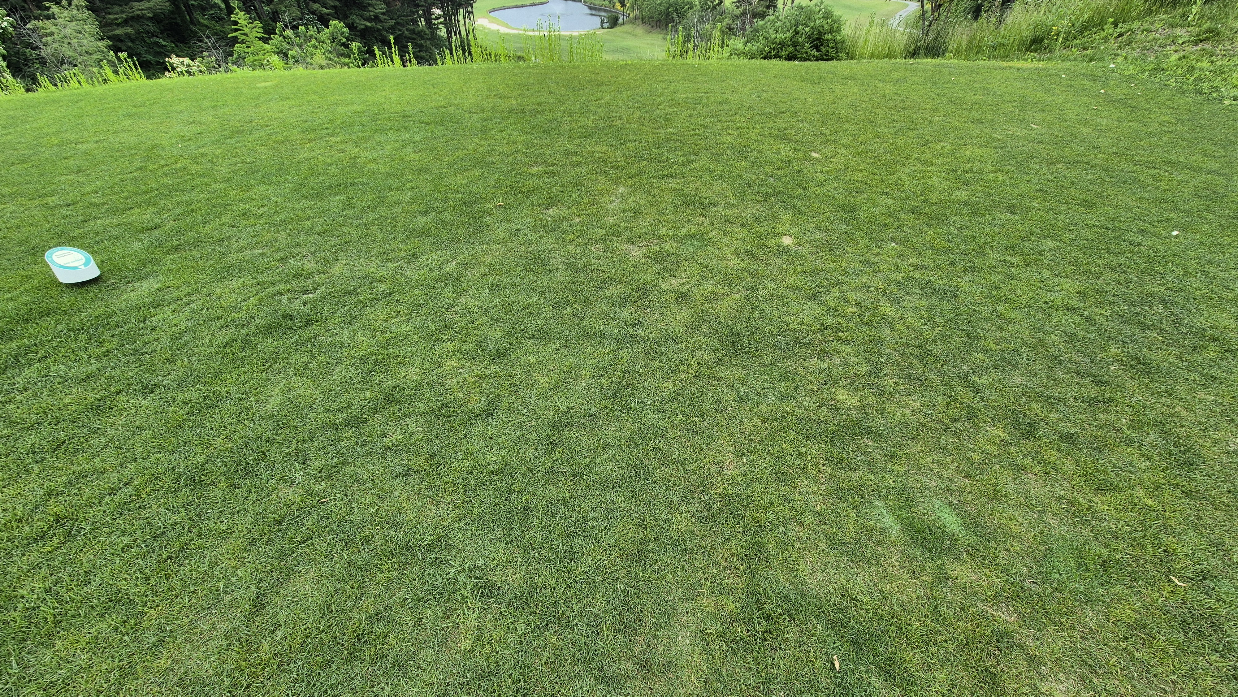 샴발라cc 라운드 후기