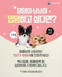 유실&middot;유기동물 입양비 지원사업 홍보 이미지