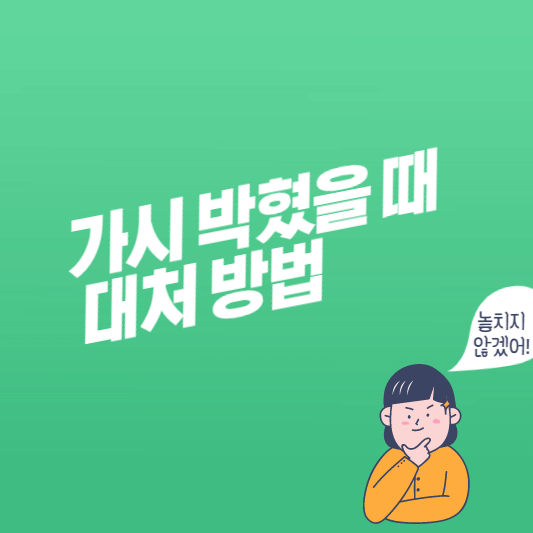 가시-대처-방법-대표-사진