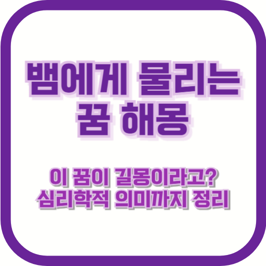 뱀에게 물리는 꿈 해몽|이 꿈이 길몽이라고? 심리학적 의미까지 정리