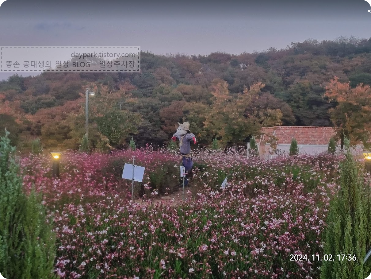 용인자작나무숲 화원