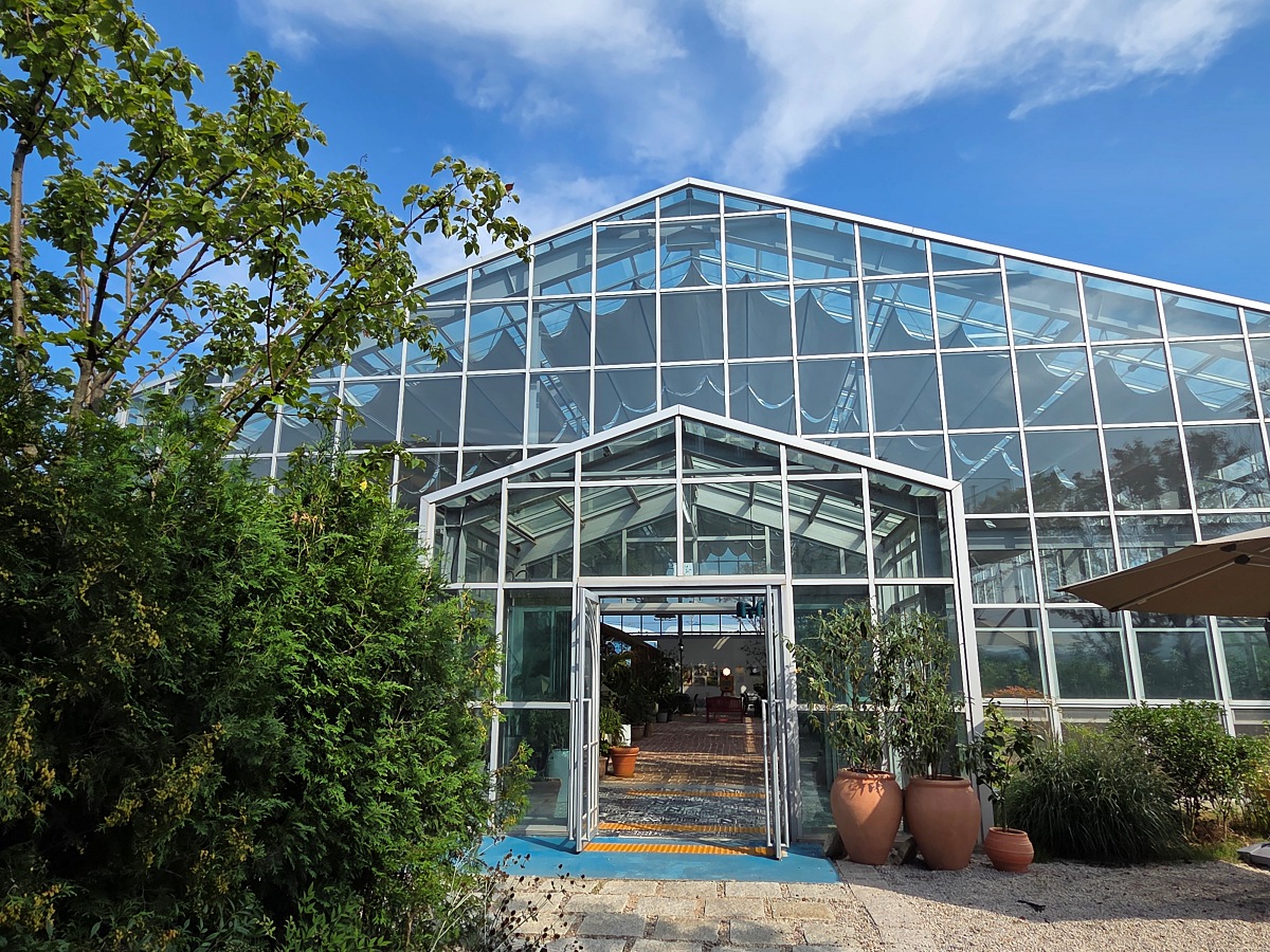 강화도 대형카페 두운리, 초록의 목수국 정원까지 즐기는 강화도 갈만한곳